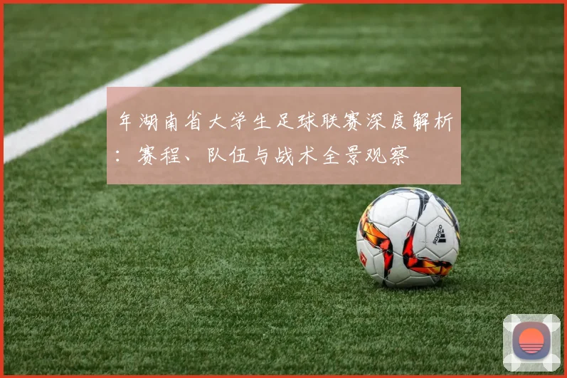 年湖南省大学生足球联赛深度解析:赛程、队伍与战术全景观察