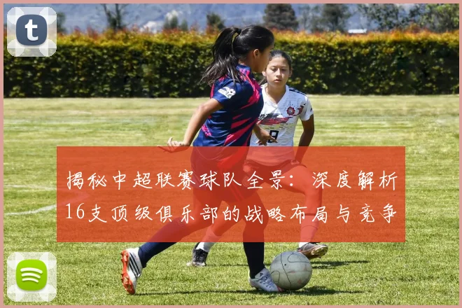 揭秘中超联赛球队全景：深度解析16支顶级俱乐部的战略布局与竞争格局