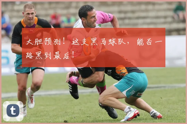 大胆预测!这支黑马球队,能否一路黑到最后!
