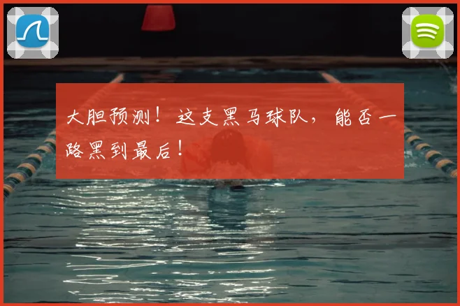 大胆预测!这支黑马球队,能否一路黑到最后!